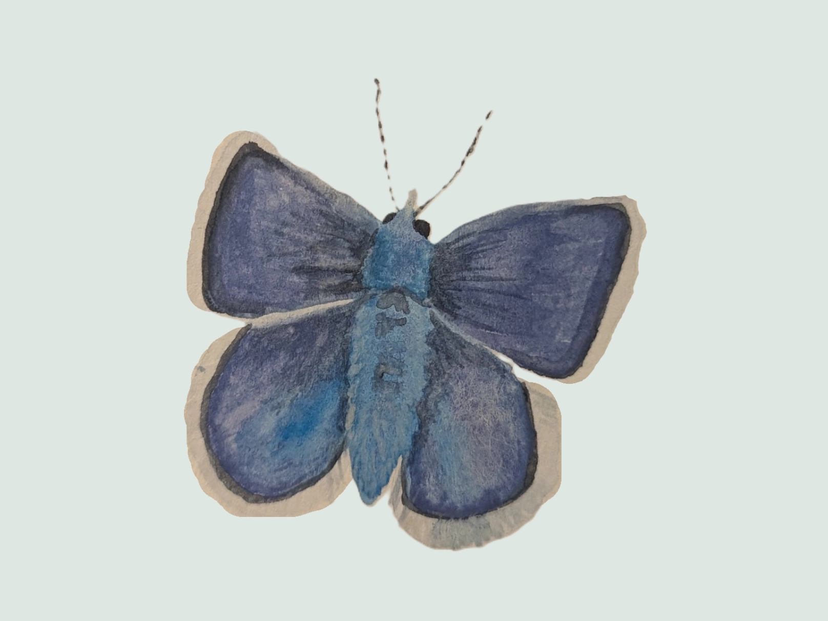 Watercolor of a small blue butterfly