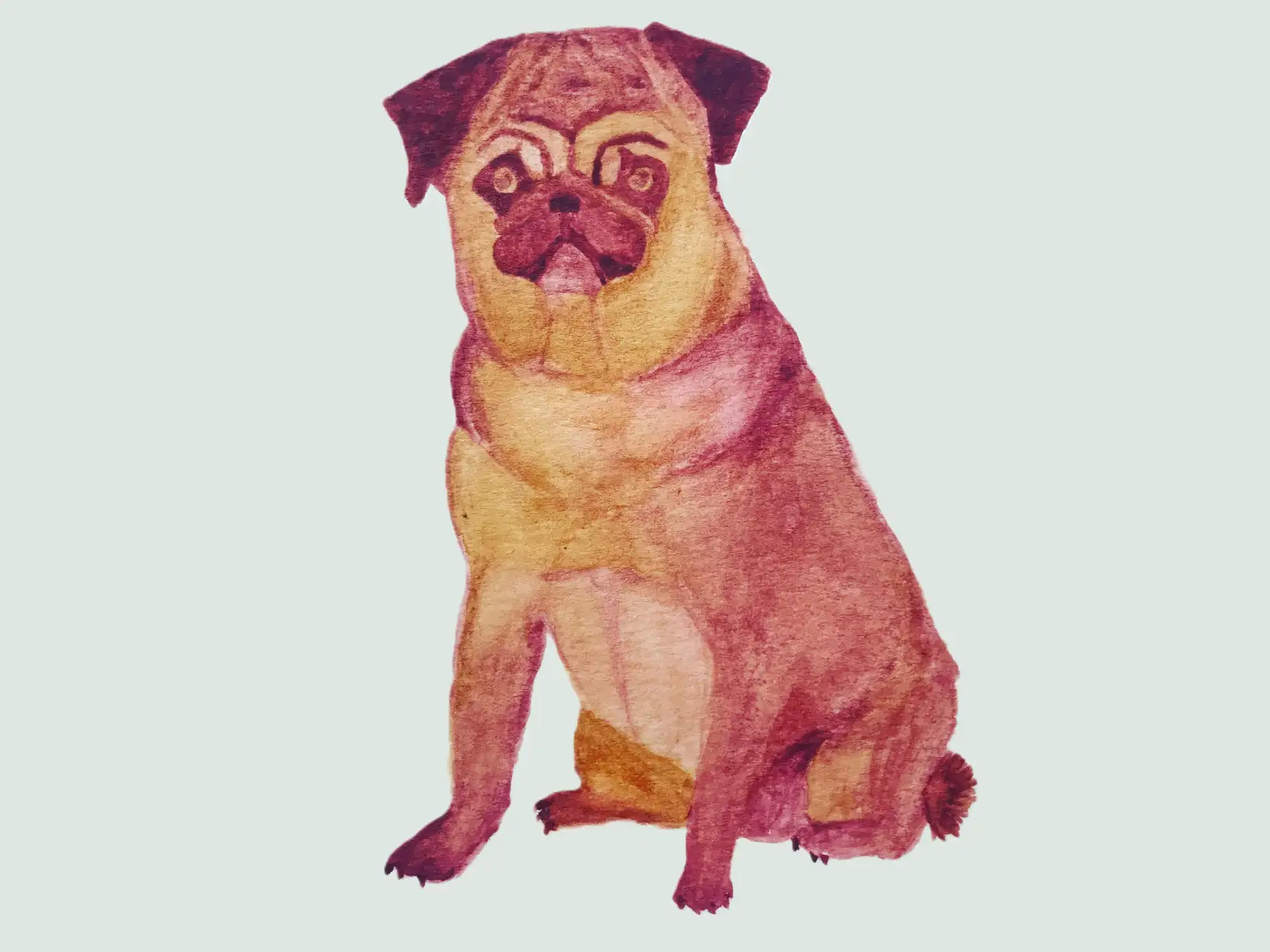 Watercolor of a pug dog in magenta and yellow